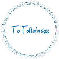 To Tailwind CSS